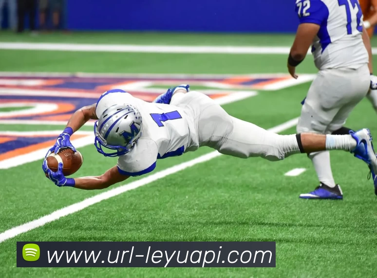 App Interface Preview