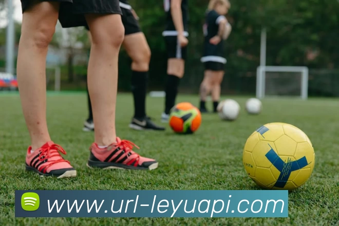 乐鱼体育APP 封面图